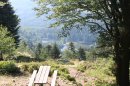 Point de vue sur le Lac de Neuweiher